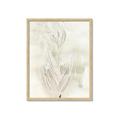 Picture of Transparent Tulip I _GroupedProduct_Rectangle_Portrait_Framed_Matted_