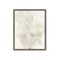 Picture of Transparent Tulip I _GroupedProduct_Rectangle_Portrait_Framed_Matted_