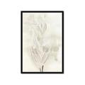 Picture of Transparent Tulip I _GroupedProduct_Rectangle_Portrait_Framed_Matted_