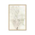 Picture of Transparent Tulip I _GroupedProduct_Rectangle_Portrait_Framed_Matted_