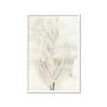 Picture of Transparent Tulip I _GroupedProduct_Rectangle_Portrait_Framed_Matted_