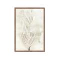 Picture of Transparent Tulip I _GroupedProduct_Rectangle_Portrait_Framed_Matted_