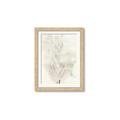 Picture of Transparent Tulip I _GroupedProduct_Rectangle_Portrait_Framed_Matted_