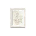 Picture of Transparent Tulip I _GroupedProduct_Rectangle_Portrait_Framed_Matted_