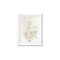 Picture of Transparent Tulip I _GroupedProduct_Rectangle_Portrait_Framed_Matted_