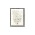 Picture of Transparent Tulip I _GroupedProduct_Rectangle_Portrait_Framed_Matted_