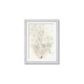 Picture of Transparent Tulip I _GroupedProduct_Rectangle_Portrait_Framed_Matted_