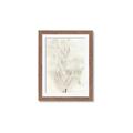 Picture of Transparent Tulip I _GroupedProduct_Rectangle_Portrait_Framed_Matted_
