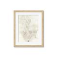 Picture of Transparent Tulip I _GroupedProduct_Rectangle_Portrait_Framed_Matted_
