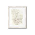 Picture of Transparent Tulip I _GroupedProduct_Rectangle_Portrait_Framed_Matted_