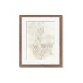 Picture of Transparent Tulip I _GroupedProduct_Rectangle_Portrait_Framed_Matted_