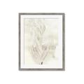 Picture of Transparent Tulip I _GroupedProduct_Rectangle_Portrait_Framed_Matted_