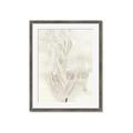 Picture of Transparent Tulip I _GroupedProduct_Rectangle_Portrait_Framed_Matted_