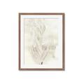 Picture of Transparent Tulip I _GroupedProduct_Rectangle_Portrait_Framed_Matted_
