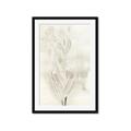 Picture of Transparent Tulip I _GroupedProduct_Rectangle_Portrait_Framed_Matted_