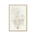 Picture of Transparent Tulip I _GroupedProduct_Rectangle_Portrait_Framed_Matted_