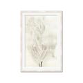 Picture of Transparent Tulip I _GroupedProduct_Rectangle_Portrait_Framed_Matted_