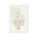 Picture of Transparent Tulip I _GroupedProduct_Rectangle_Portrait_Framed_Matted_
