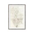 Picture of Transparent Tulip I _GroupedProduct_Rectangle_Portrait_Framed_Matted_