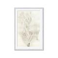 Picture of Transparent Tulip I _GroupedProduct_Rectangle_Portrait_Framed_Matted_