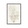 Picture of Transparent Tulip I _GroupedProduct_Rectangle_Portrait_Framed_Matted_