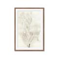 Picture of Transparent Tulip I _GroupedProduct_Rectangle_Portrait_Framed_Matted_