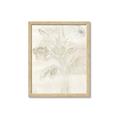 Picture of Transparent Tulip II _GroupedProduct_Rectangle_Portrait_Framed_Matted_