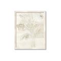 Picture of Transparent Tulip II _GroupedProduct_Rectangle_Portrait_Framed_Matted_