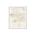 Picture of Transparent Tulip II _GroupedProduct_Rectangle_Portrait_Framed_Matted_