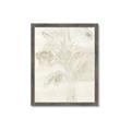 Picture of Transparent Tulip II _GroupedProduct_Rectangle_Portrait_Framed_Matted_