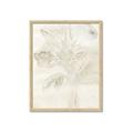 Picture of Transparent Tulip II _GroupedProduct_Rectangle_Portrait_Framed_Matted_
