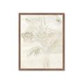 Picture of Transparent Tulip II _GroupedProduct_Rectangle_Portrait_Framed_Matted_