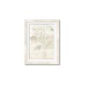 Picture of Transparent Tulip II _GroupedProduct_Rectangle_Portrait_Framed_Matted_