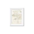 Picture of Transparent Tulip II _GroupedProduct_Rectangle_Portrait_Framed_Matted_