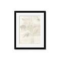 Picture of Transparent Tulip II _GroupedProduct_Rectangle_Portrait_Framed_Matted_