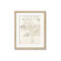 Picture of Transparent Tulip II _GroupedProduct_Rectangle_Portrait_Framed_Matted_