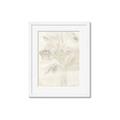 Picture of Transparent Tulip II _GroupedProduct_Rectangle_Portrait_Framed_Matted_