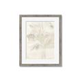Picture of Transparent Tulip II _GroupedProduct_Rectangle_Portrait_Framed_Matted_