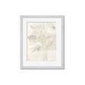 Picture of Transparent Tulip II _GroupedProduct_Rectangle_Portrait_Framed_Matted_