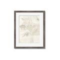 Picture of Transparent Tulip II _GroupedProduct_Rectangle_Portrait_Framed_Matted_