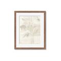 Picture of Transparent Tulip II _GroupedProduct_Rectangle_Portrait_Framed_Matted_