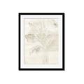 Picture of Transparent Tulip II _GroupedProduct_Rectangle_Portrait_Framed_Matted_