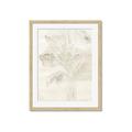 Picture of Transparent Tulip II _GroupedProduct_Rectangle_Portrait_Framed_Matted_