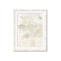 Picture of Transparent Tulip II _GroupedProduct_Rectangle_Portrait_Framed_Matted_