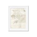 Picture of Transparent Tulip II _GroupedProduct_Rectangle_Portrait_Framed_Matted_
