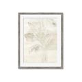 Picture of Transparent Tulip II _GroupedProduct_Rectangle_Portrait_Framed_Matted_