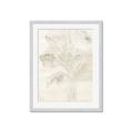 Picture of Transparent Tulip II _GroupedProduct_Rectangle_Portrait_Framed_Matted_
