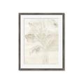 Picture of Transparent Tulip II _GroupedProduct_Rectangle_Portrait_Framed_Matted_