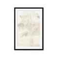 Picture of Transparent Tulip II _GroupedProduct_Rectangle_Portrait_Framed_Matted_