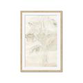 Picture of Transparent Tulip II _GroupedProduct_Rectangle_Portrait_Framed_Matted_